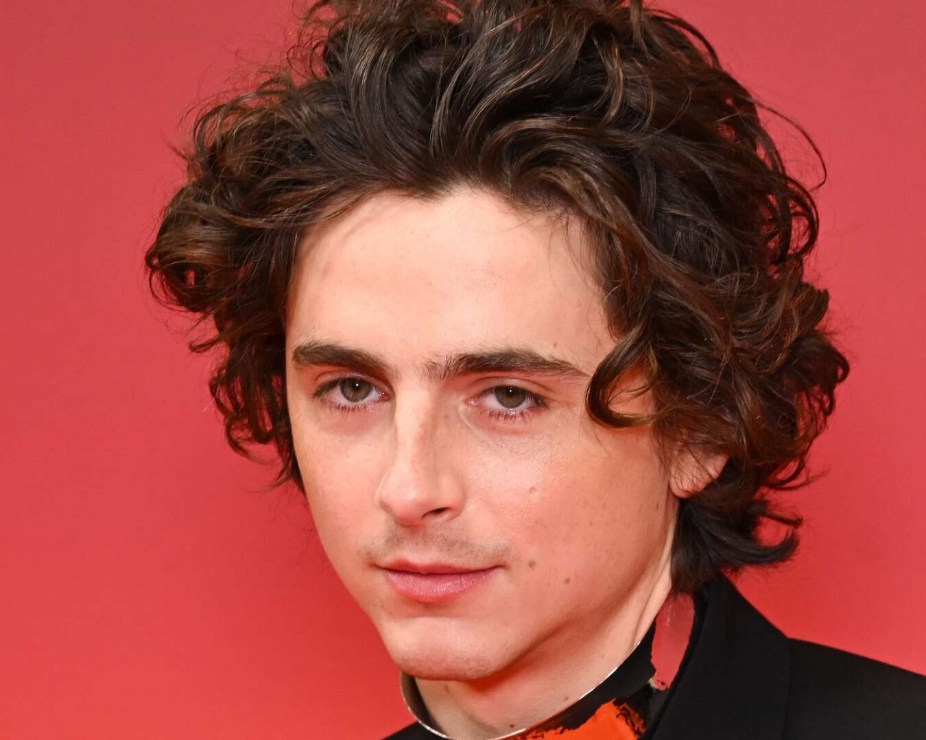 Timothée Chalamet portrait showing his rise from young actor to Hollywood star